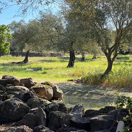 Muristene Pozzo Santa Cristina Paulilatino Exteriör bild