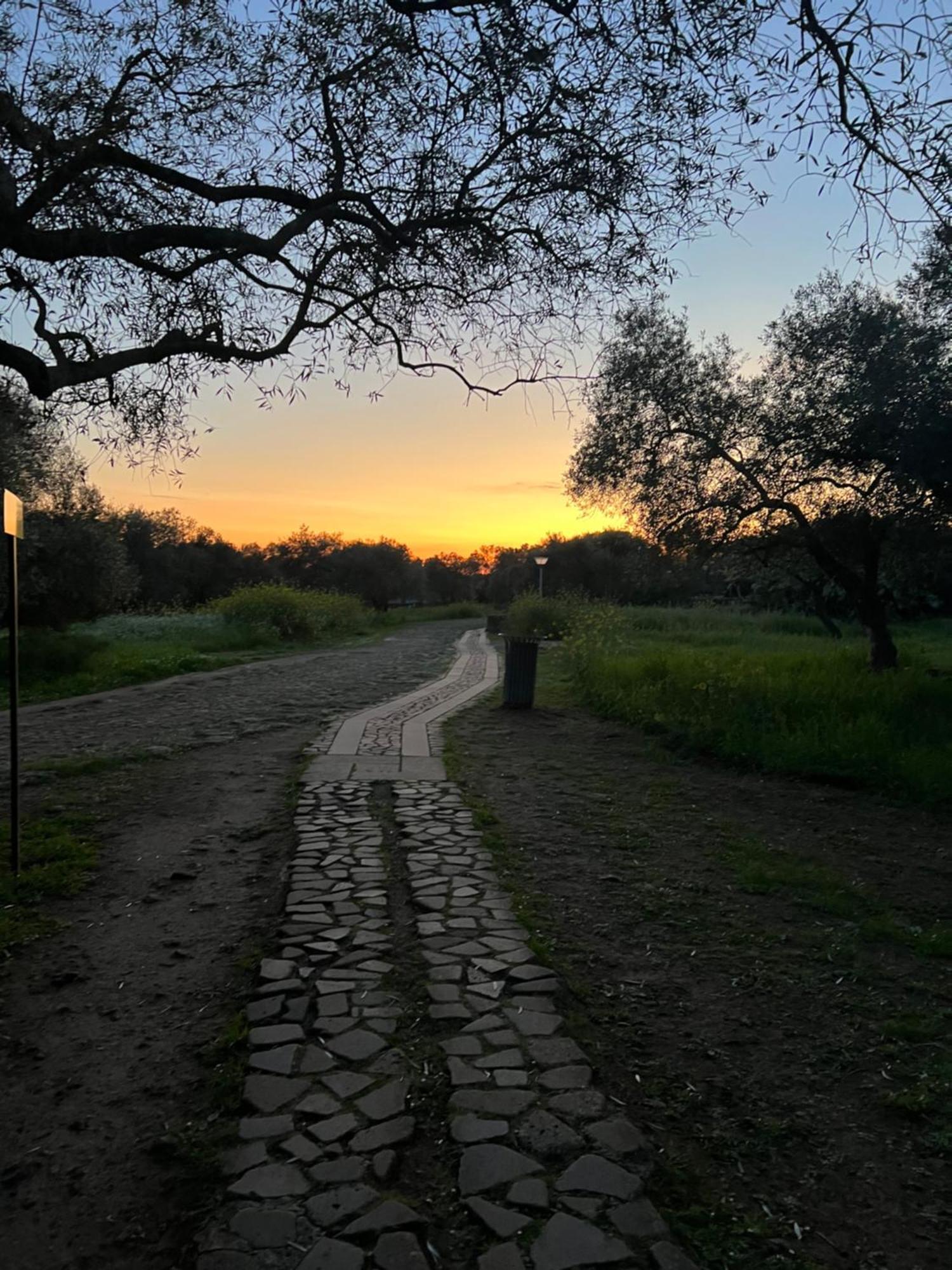 Muristene Pozzo Santa Cristina Paulilatino Exteriör bild
