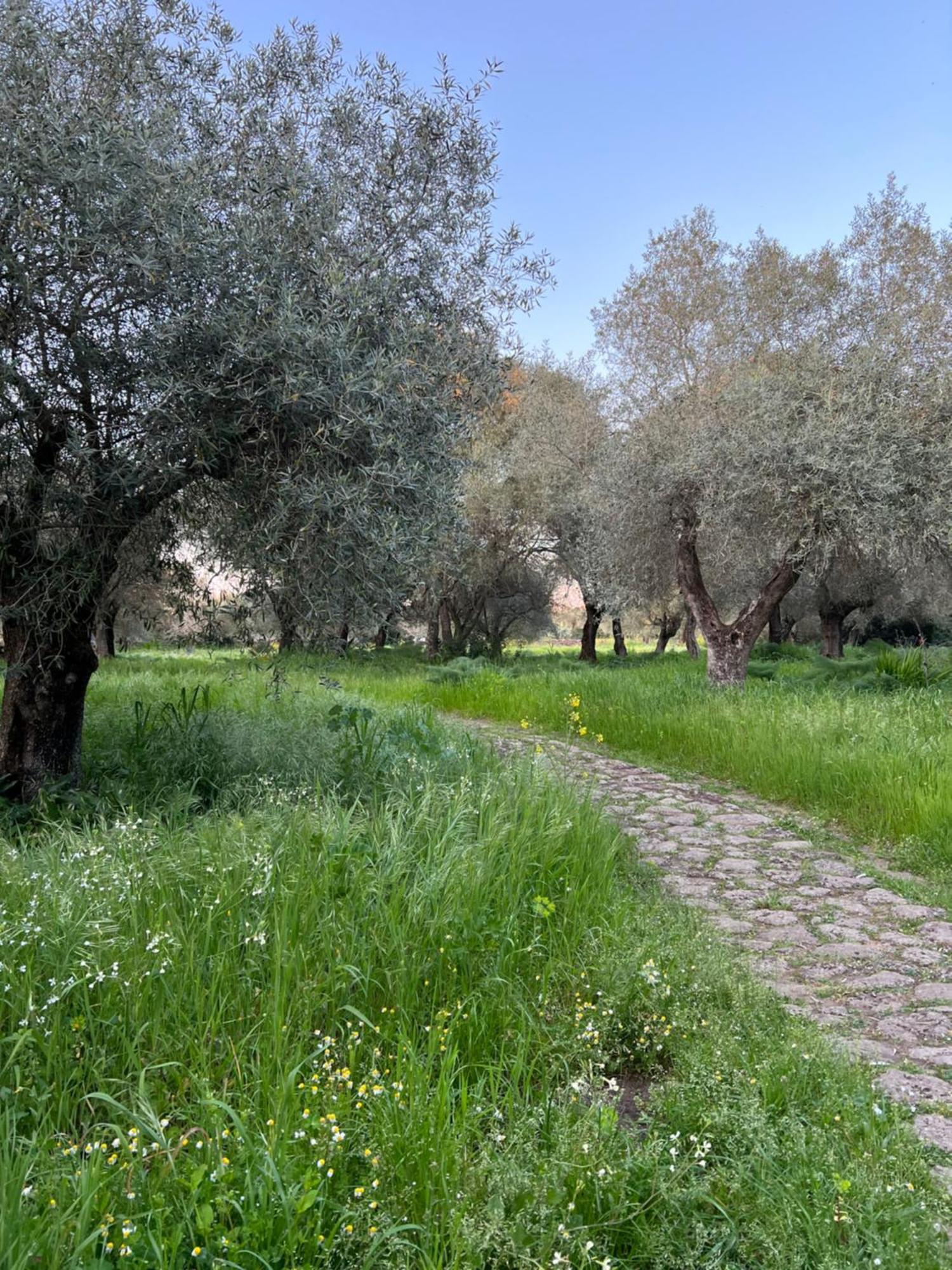 Muristene Pozzo Santa Cristina Paulilatino Exteriör bild
