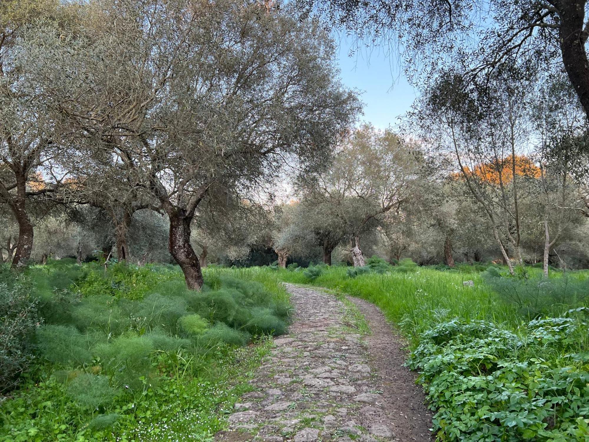 Muristene Pozzo Santa Cristina Paulilatino Exteriör bild