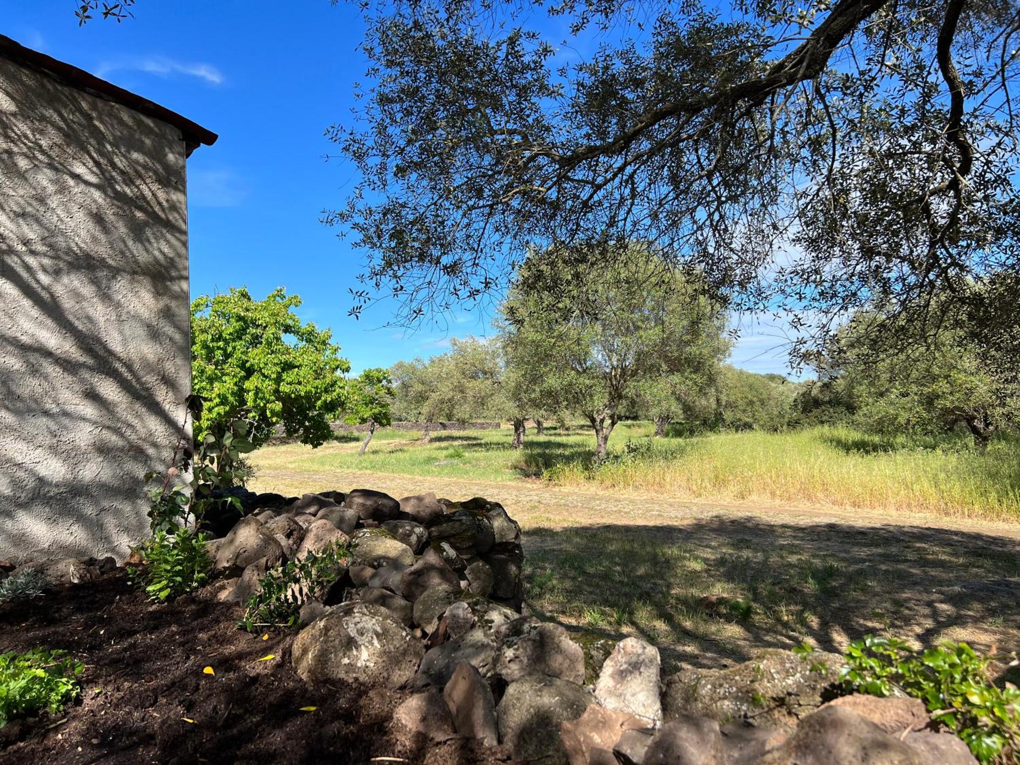Muristene Pozzo Santa Cristina Paulilatino Exteriör bild