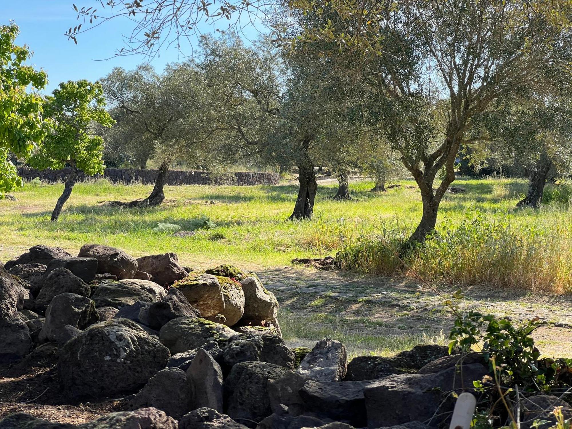 Muristene Pozzo Santa Cristina Paulilatino Exteriör bild